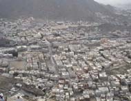 Pemandangan Indah dan Siamang 